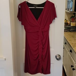 Women Burgundy Dress